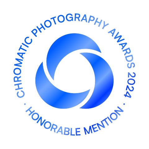 Chromatic Awards Honourable Mention